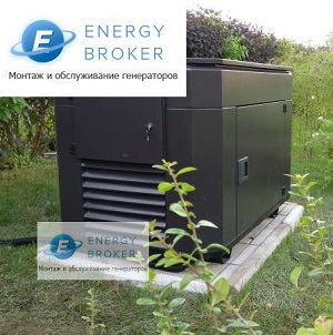 Europower EP 10000 Е с АВР в кожухе